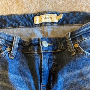 Torrid Ripped Skinny Jeans